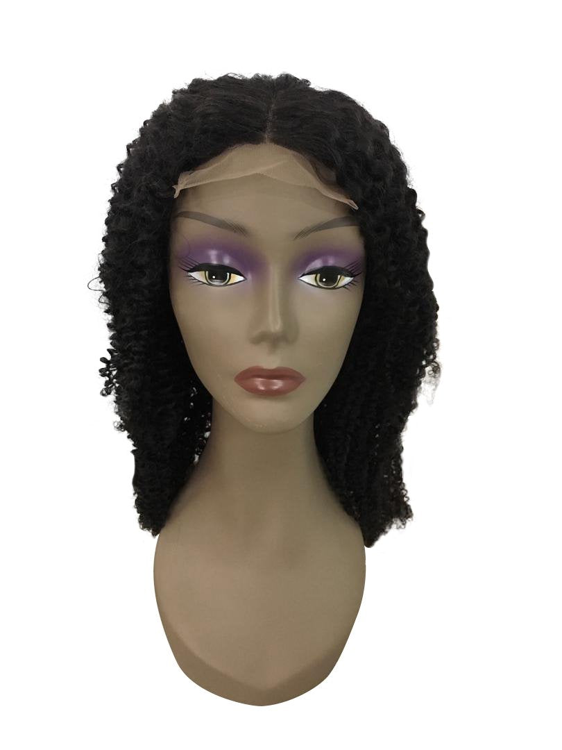 Kinky Curly Lace Closure Wig